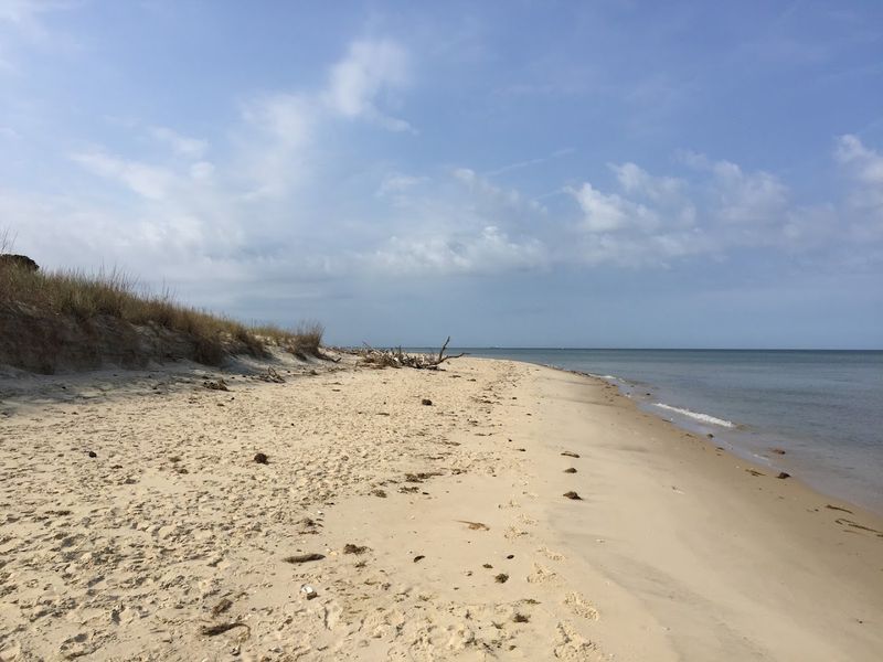 Towering Dunes That Stop You In Your Tracks