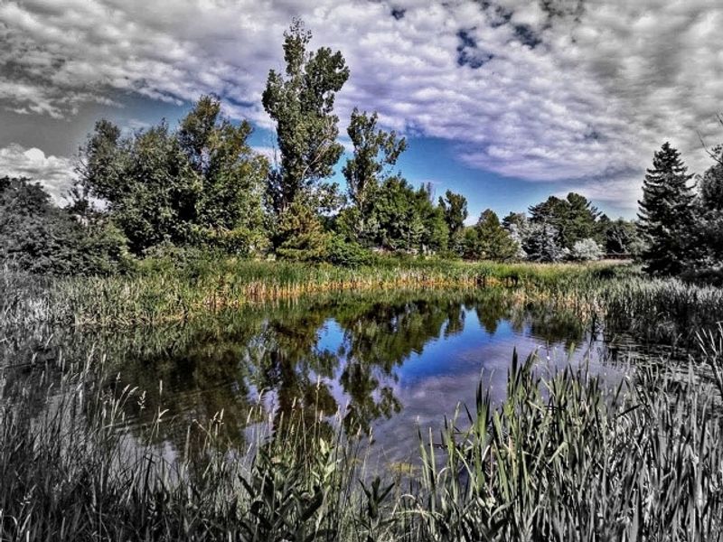 Aggie Theatre: Live Music Near Library Park