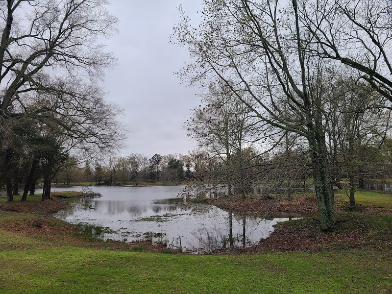 Quiet Landscape Where The Past Still Lingers