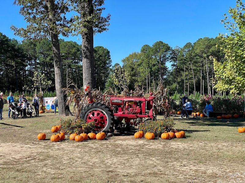 Tractor Rides Reveal More Of The Farm