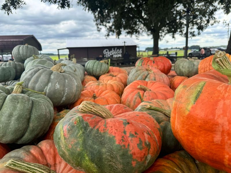 Tractor Rides Reveal More Of The Harvest Landscape