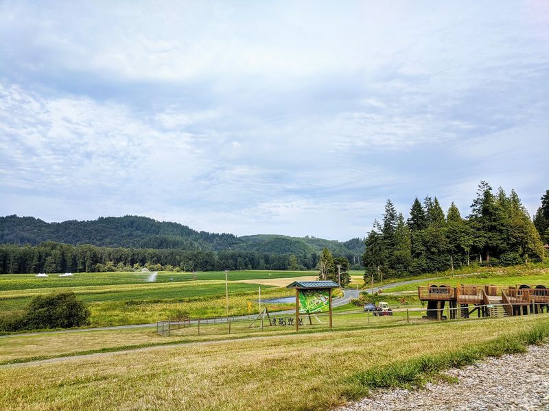 Tractor Rides With a Kiddie-Train Feel Tractor Rides With a Kiddie-Train Feel