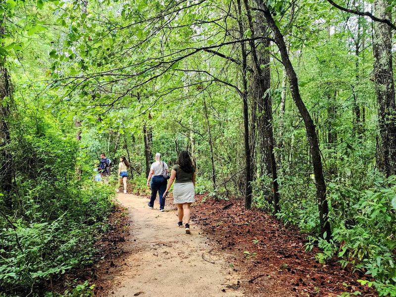 Trade The Paddle For Hiking Boots And Some Seriously Odd Plants