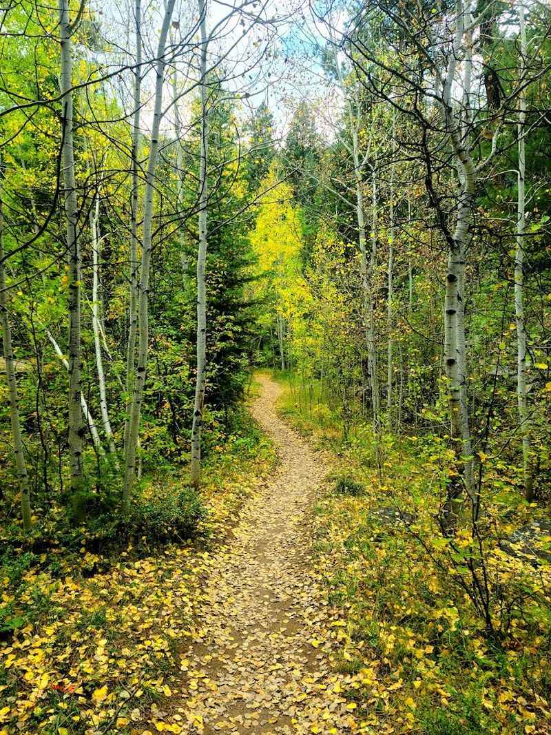 Trail Conditions And What To Actually Pack