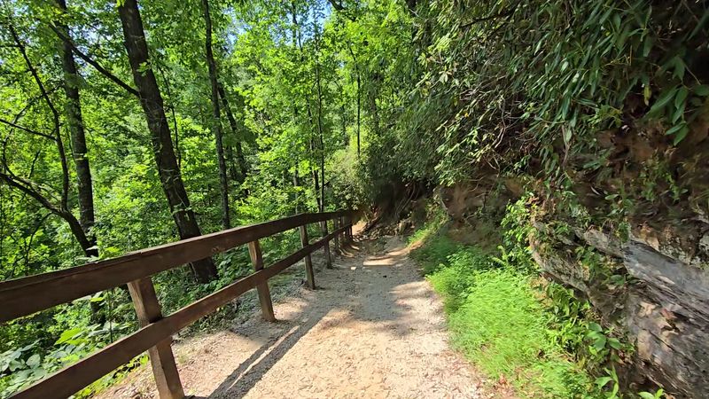 Trail Conditions And What To Expect On The Way Down