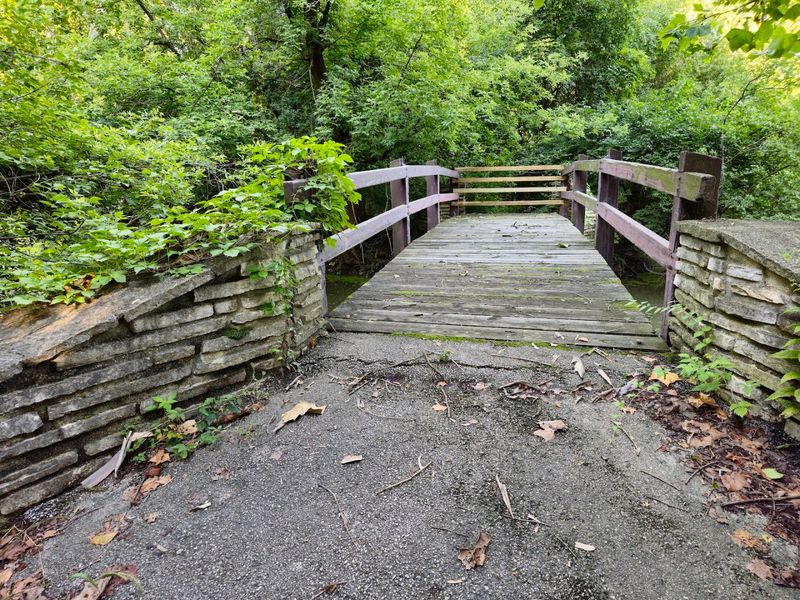 Trail Conditions That Actually Impress Regulars