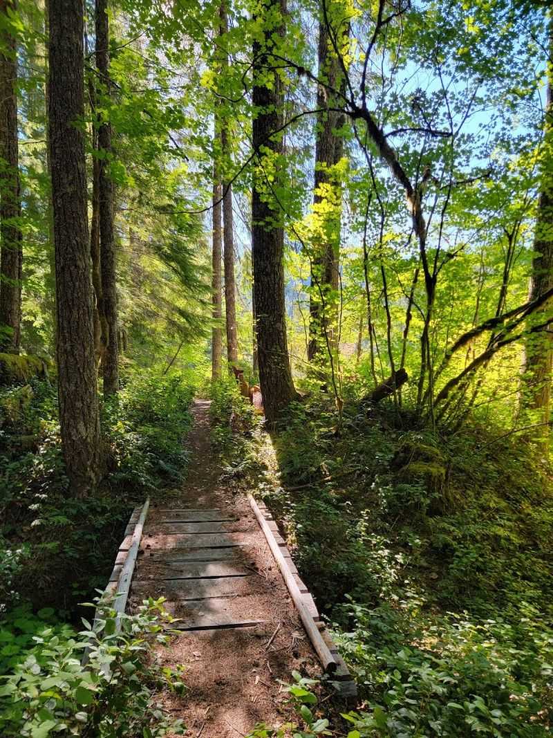 Trail Difficulty And What To Expect Trail Difficulty And What To Expect