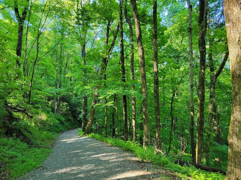 Trail Distance And Elevation Add Up Fast