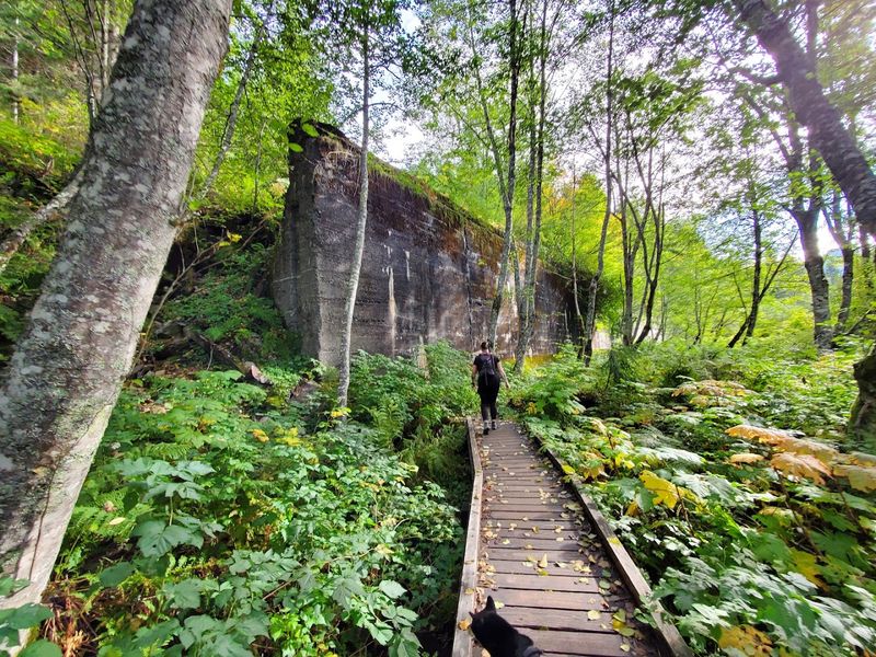 Trail Layout And Accessibility