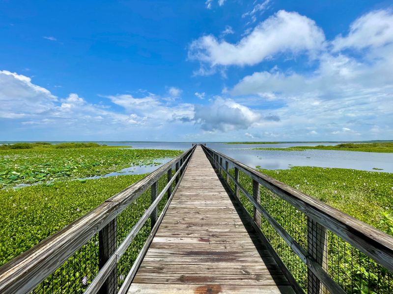 What To Expect: Wildlife, Seasons, And Best Times