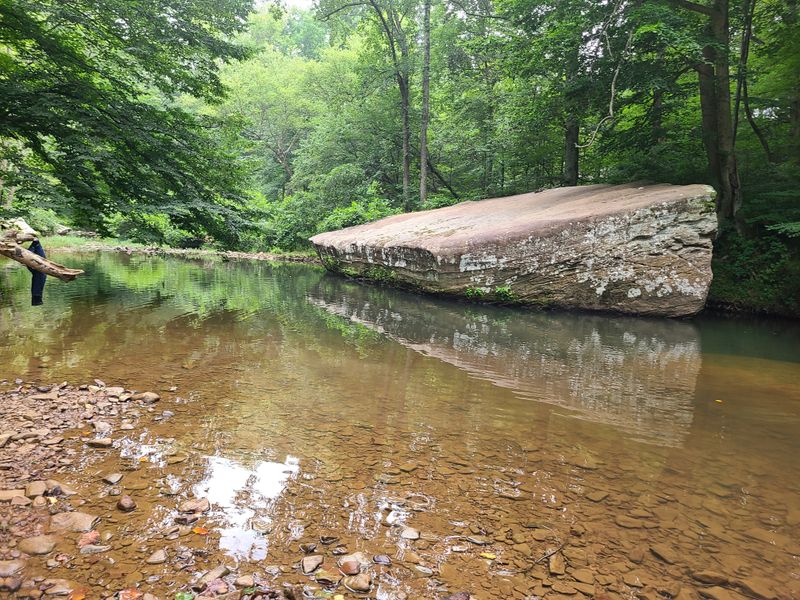 Leave No Trace, Please