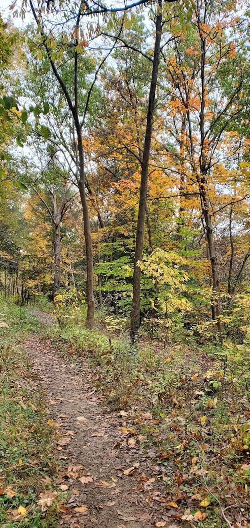 Mountain Biking On Technical Singletrack
