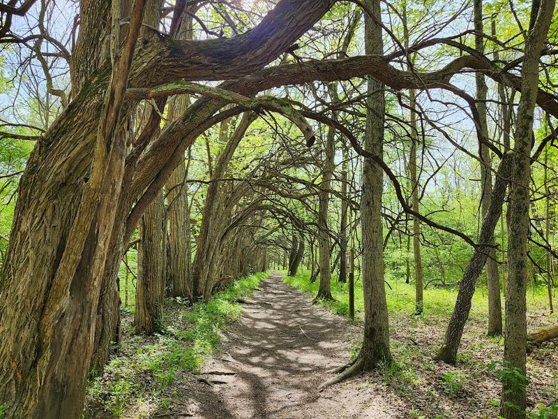 Trail Options for Every Kind of Hiker