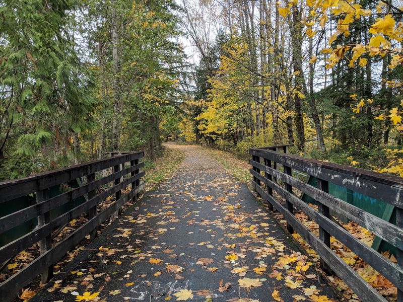 Trail Surface, Accessibility, And Who Can Ride Here