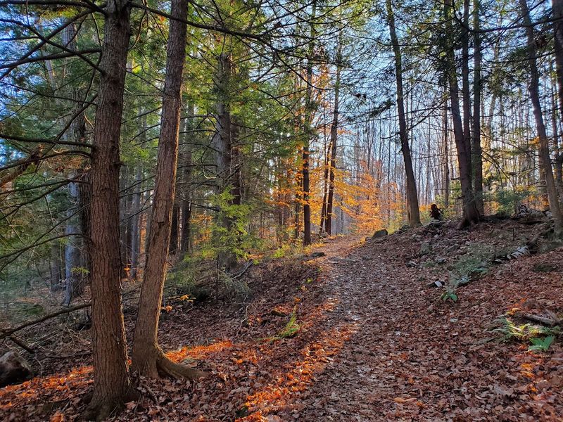 Trail System For Every Kind Of Explorer Trail System For Every Kind Of Explorer