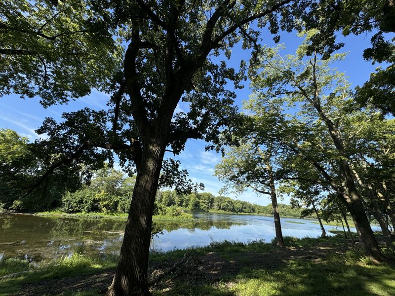 Family-Friendly Features That Welcome Everyone