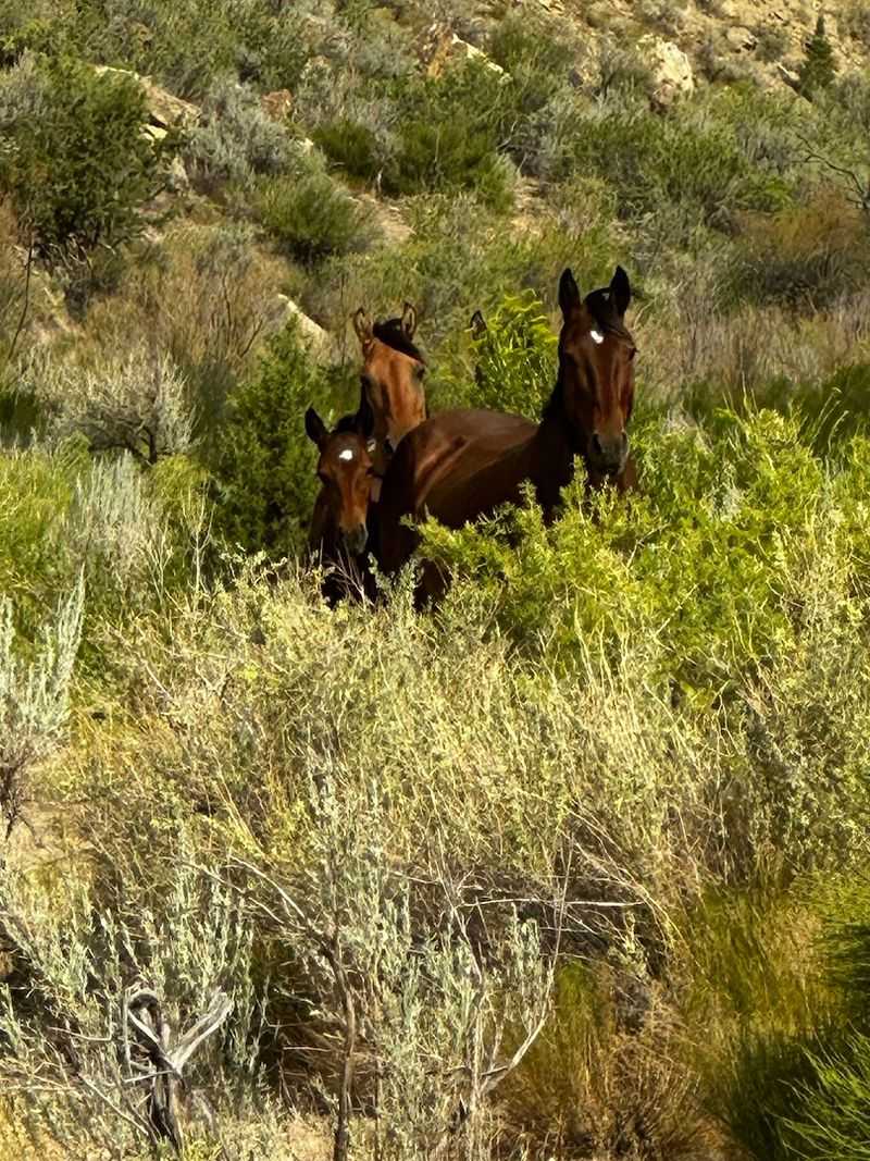 The Line You Send A Friend