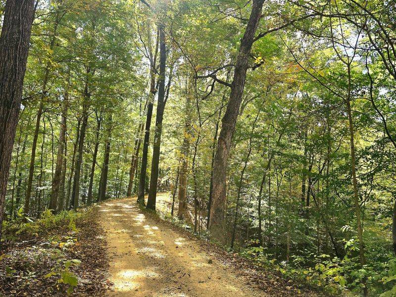 Trail of Tears State Forest, Jonesboro Trail of Tears State Forest, Jonesboro