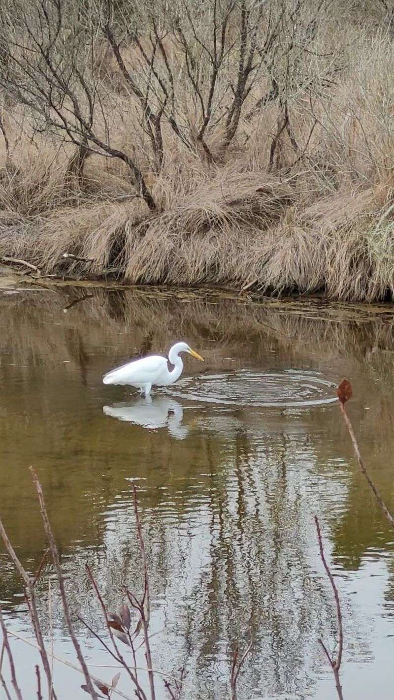 Trails And Birds Will Keep You Moving