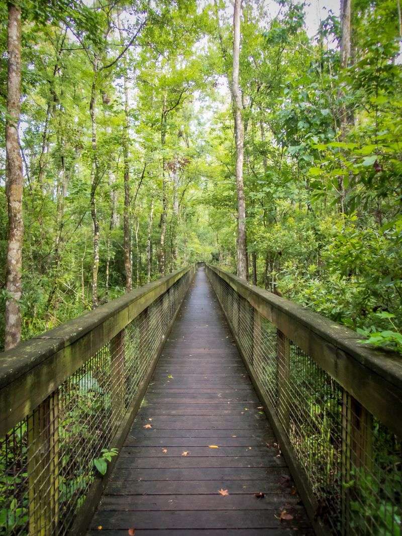 Trails And Boardwalks Made For Wandering
