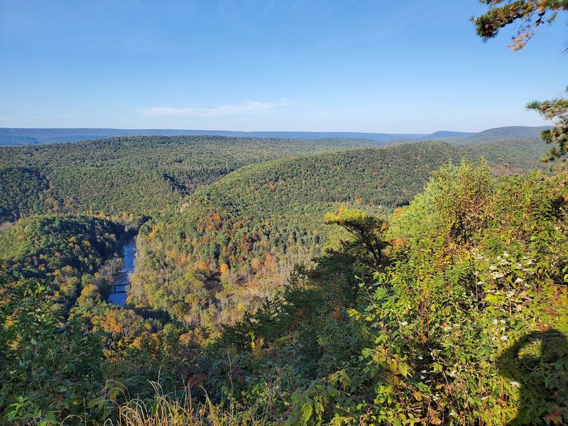 Trails And Vistas In Bald Eagle State Forest