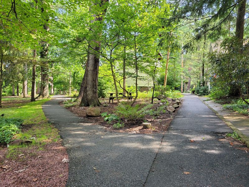 Trails And Woods For Easy Adventures