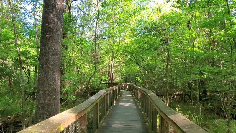 Trails Beyond The Boardwalk For Longer Hikes