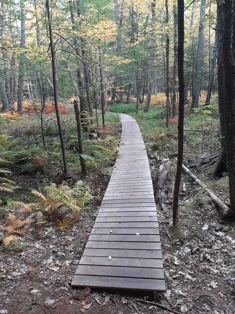 Trails Built For Absolutely Everyone