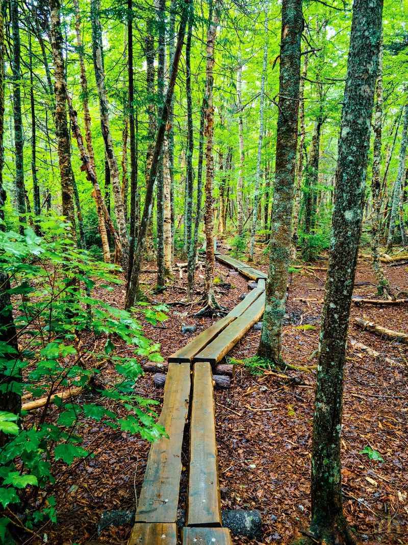 Trails Built For Real Adventurers