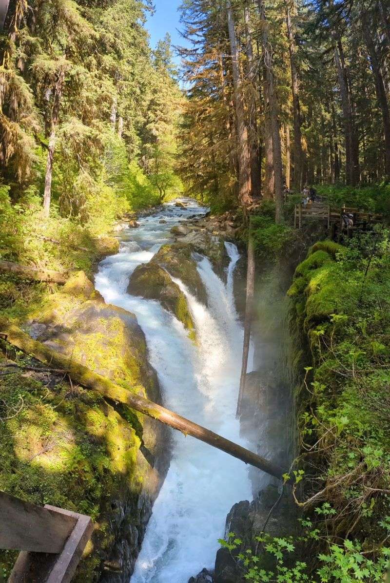 Trails, Falls, and Forest Walks Nearby