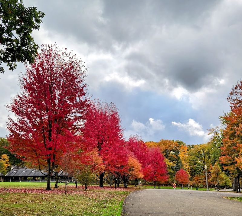 Trails, Fitness Courses, And Disc Golf
