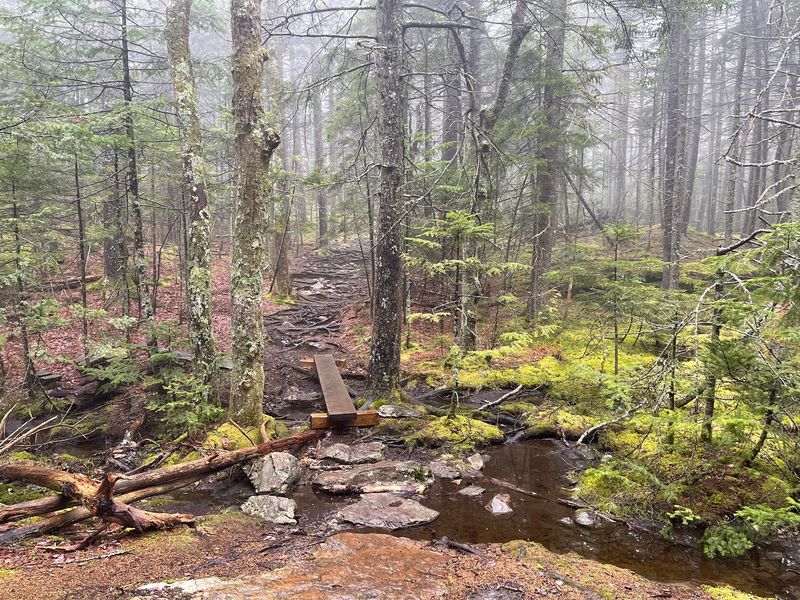 Trails For Every Kind Of Hiker Trails For Every Kind Of Hiker