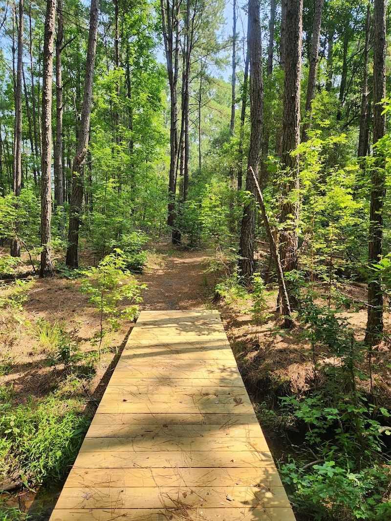 Trails For Hikers And Mountain Bikers Alike Trails For Hikers And Mountain Bikers Alike