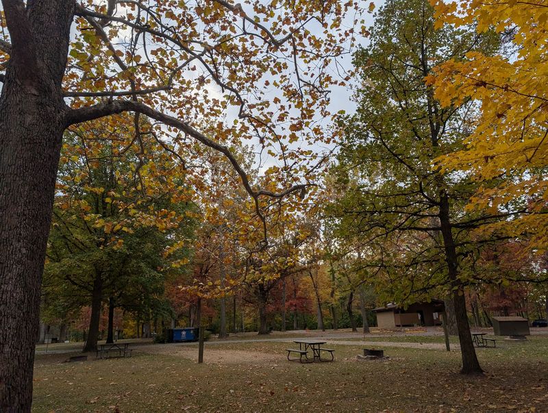 Trails, Picnic Tables, And Room To Roam