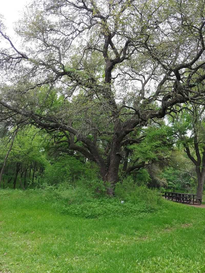 Trails, Picnics, And The Natural Beauty Surrounding The Site Trails, Picnics, And The Natural Beauty Surrounding The Site