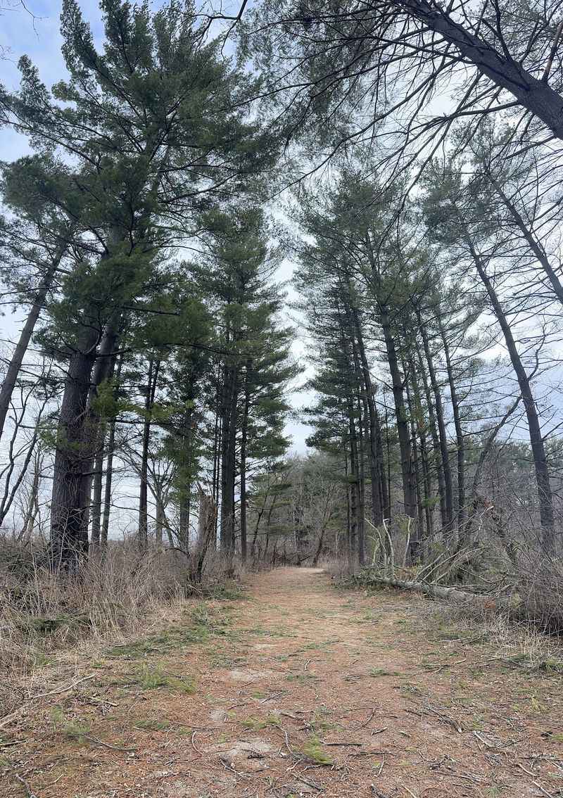 Trails, Picnics, and Quiet Green Space Trails, Picnics, and Quiet Green Space