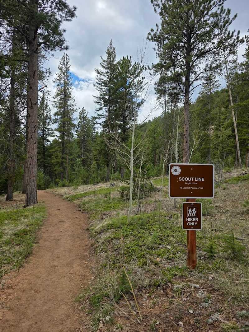 Trails That Actually Have Something For Everyone (And Mean It)