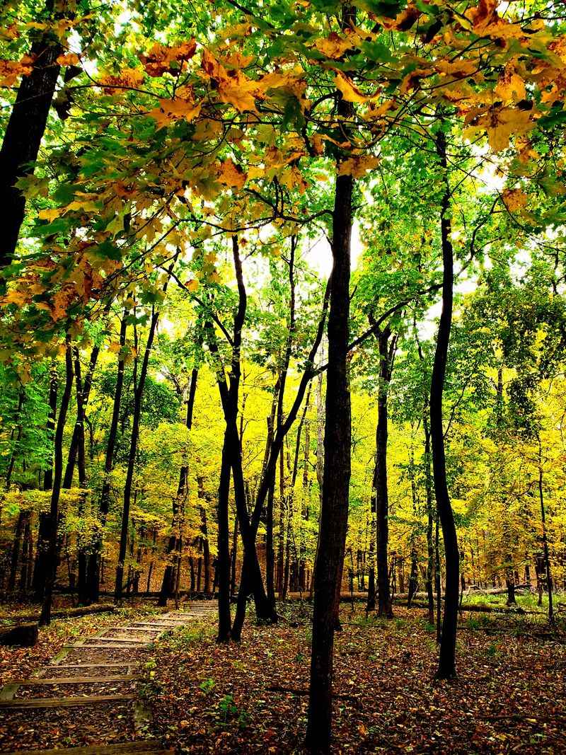 Trails That Crunch Under Every Step Trails That Crunch Under Every Step