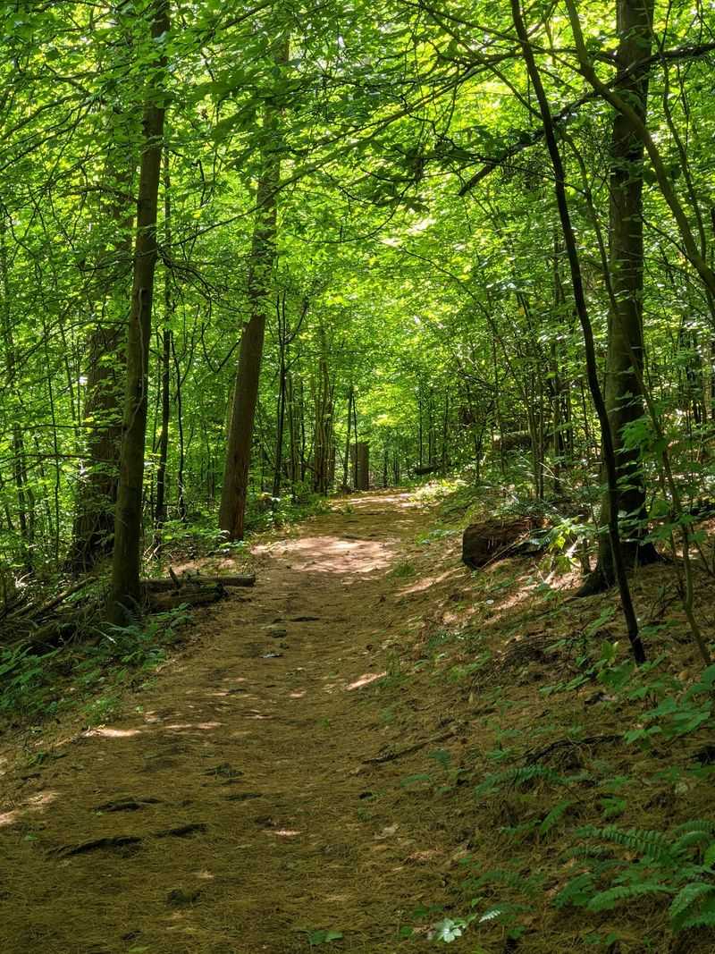 Trails That Crunch Underfoot Trails That Crunch Underfoot