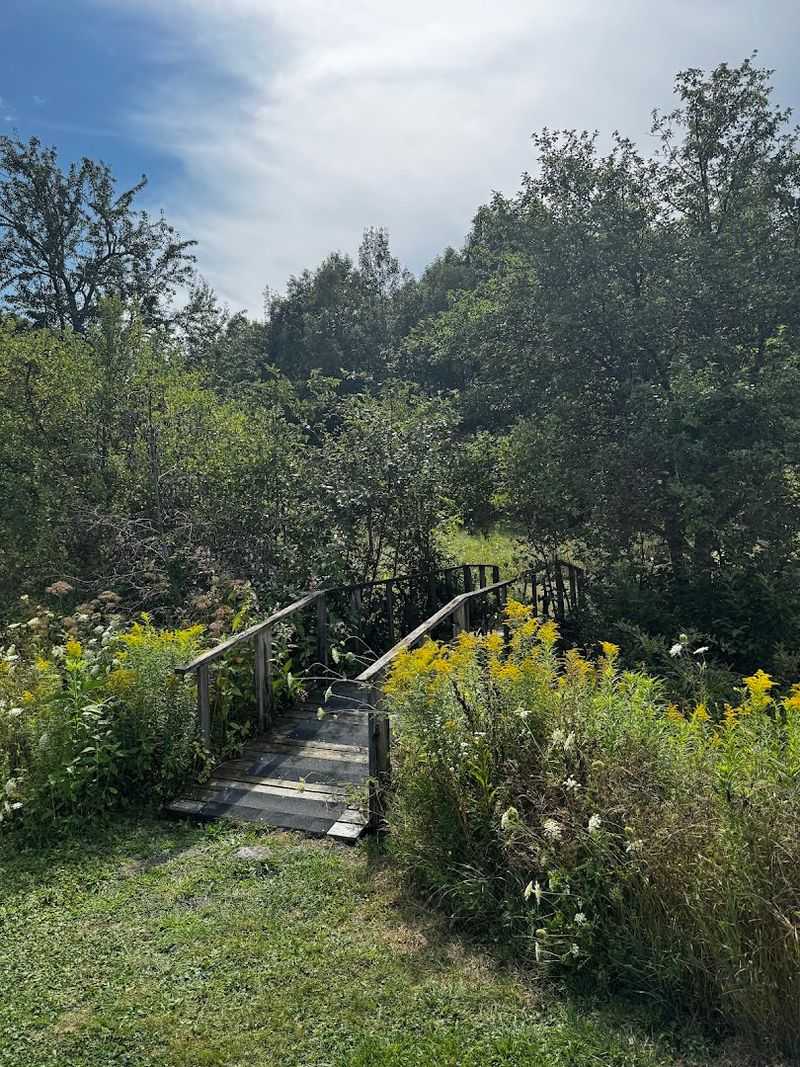 Trails That Feel Like A Maine Postcard