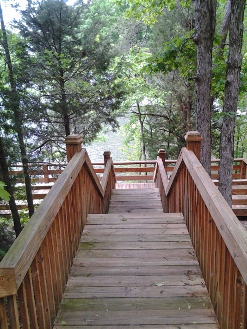 Trails That Feel Like a Secret Forest