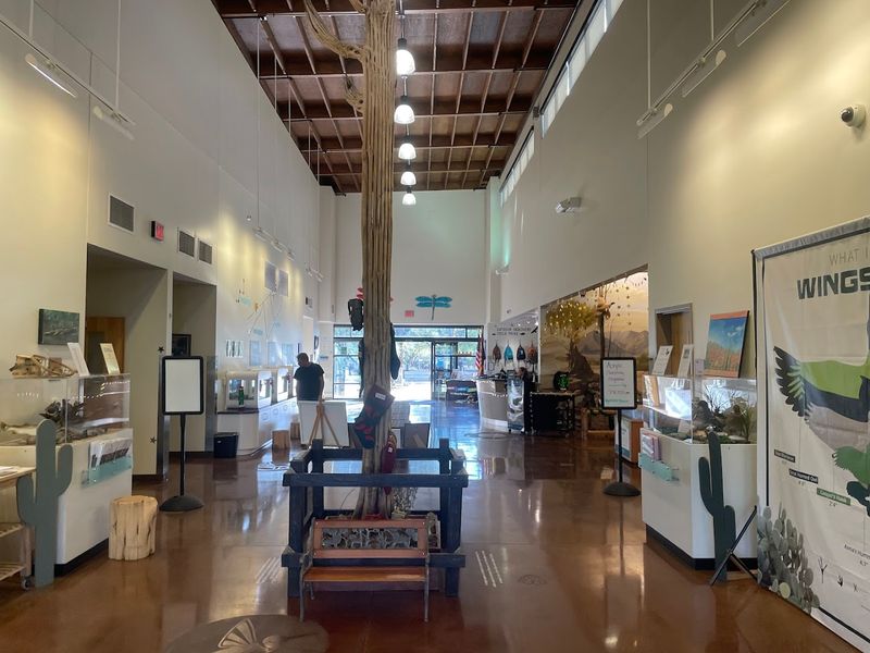 Inside The Chandler Nature Center Building