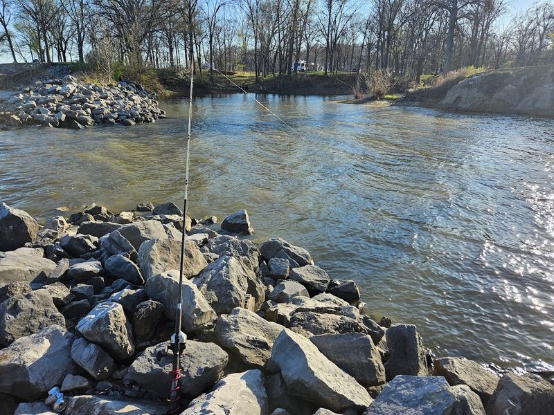 Fishing On A Grand Scale