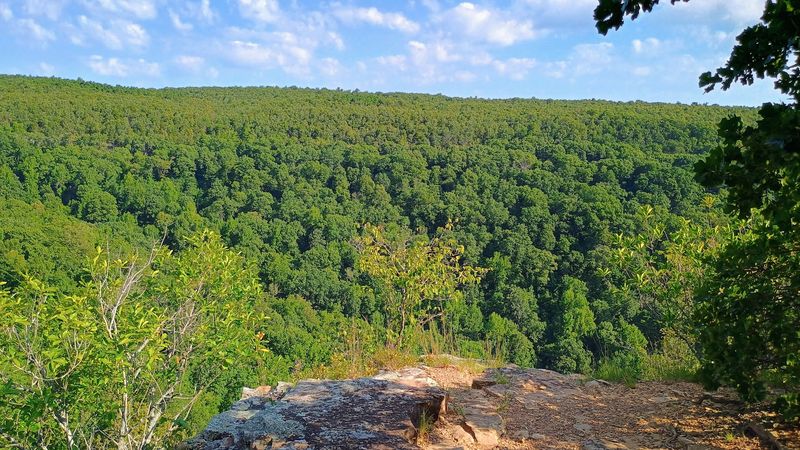 Seasonal Changes That Transform The Landscape