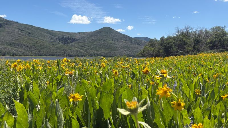 Trails That Match Your Energy Level, Not Just Your Ambition