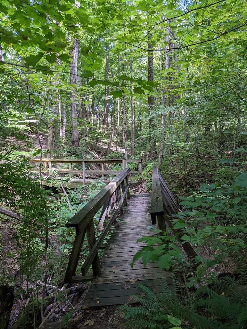 Trails That Reward Every Pace Trails That Reward Every Pace