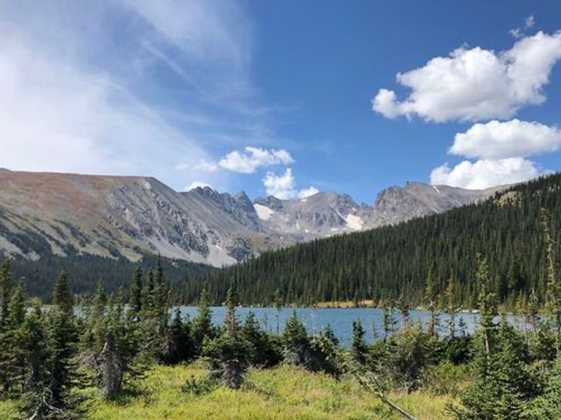 Wildlife Encounters Worth the Wait