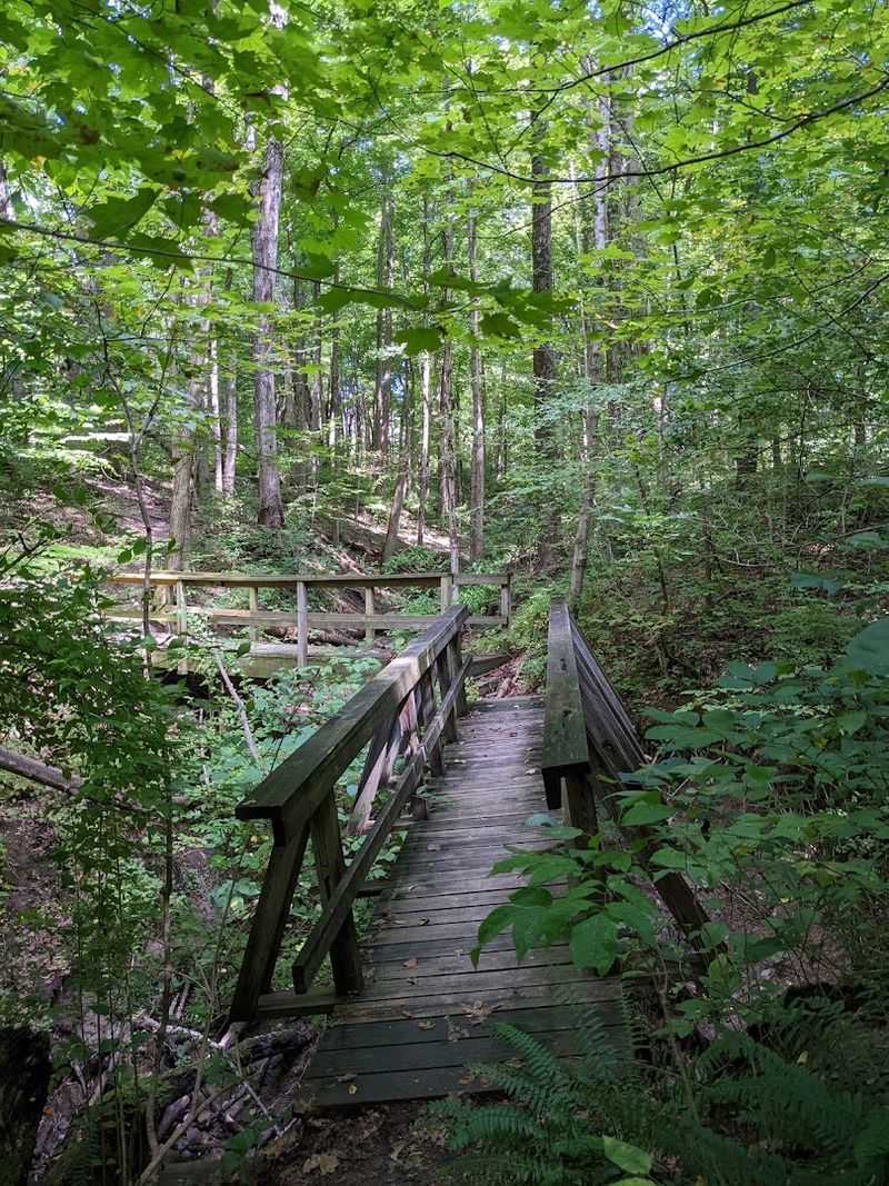 Trails That Reward You Without Wrecking Your Knees Trails That Reward You Without Wrecking Your Knees