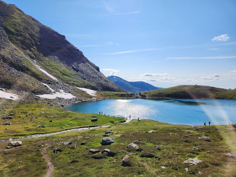 Trails That Tell Tales