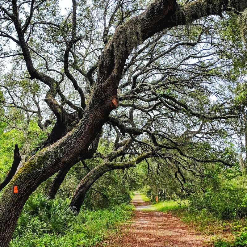 Trails That Wander For Miles Trails That Wander For Miles